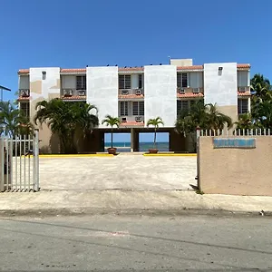  Apartment Heart Of Puerto Rico